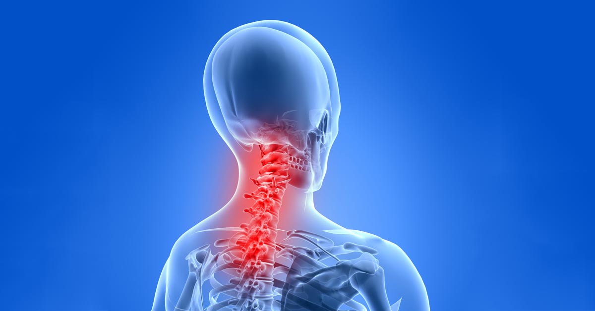 Chiropractic Fairview Park, OH